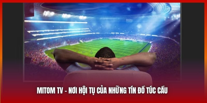 Mitom TV | Nơi Hội Tụ Của Những Tín Đồ Yêu Thích Túc Cầu